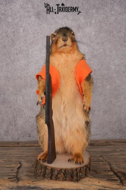 Hunting Squirrel SKU 3112