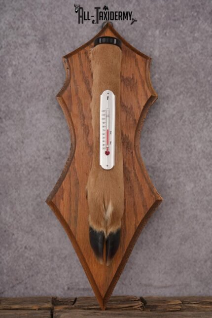 Whitetail Deer Foot Thermometer SKU 2425